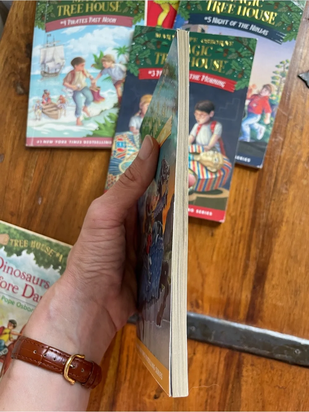 Mary Pope Osborne Magic Tree House Kids Book Set of 6 - Gently used
